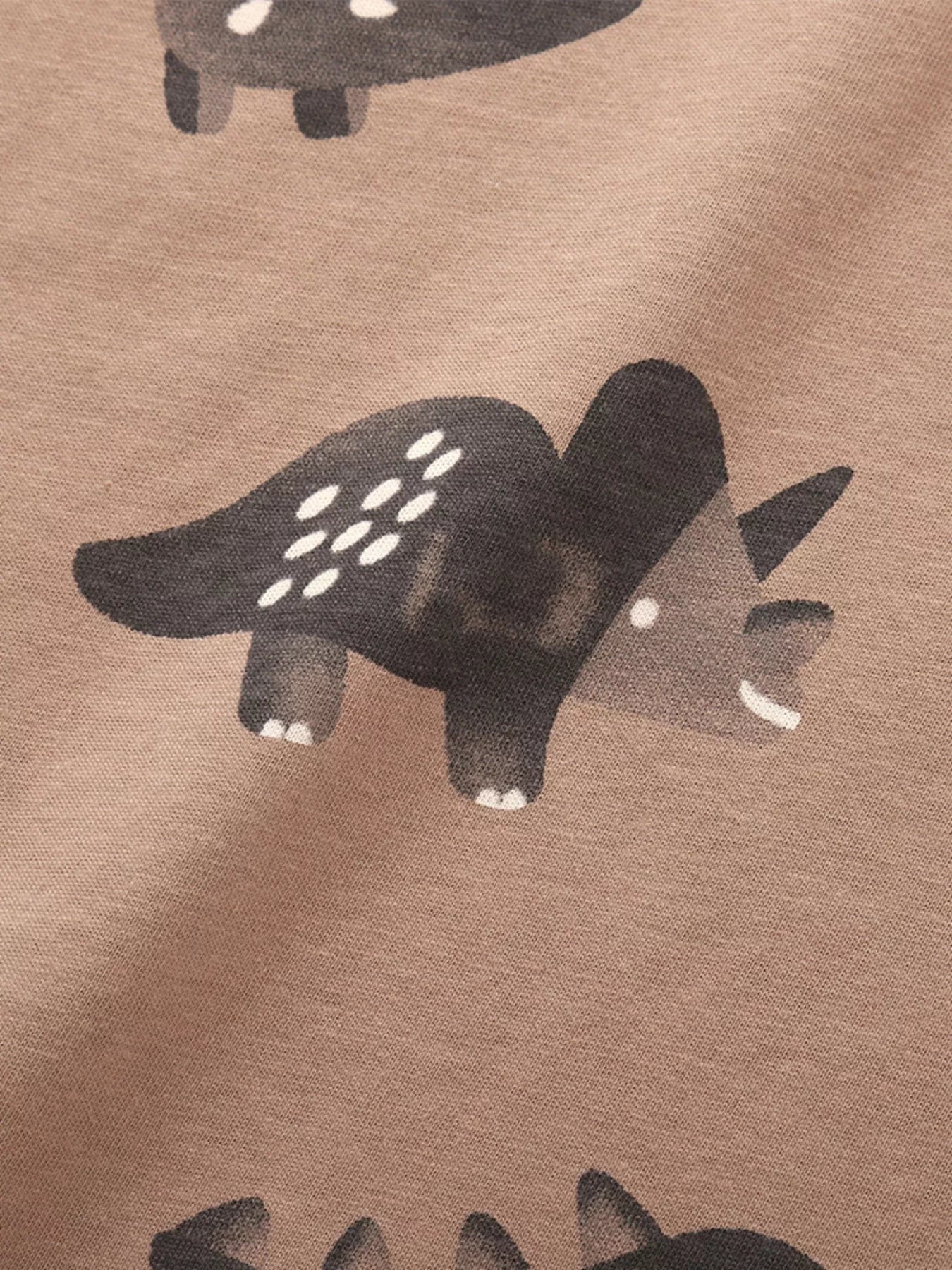 Children's Dinosaur Print Long Sleeve Pajama Set