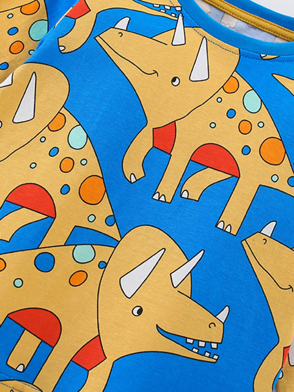 Children's Dinosaur Print Long Sleeve Top and Pants Set