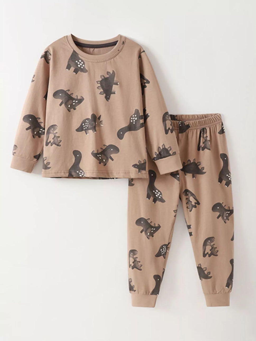 Children's Dinosaur Print Long Sleeve Pajama Set