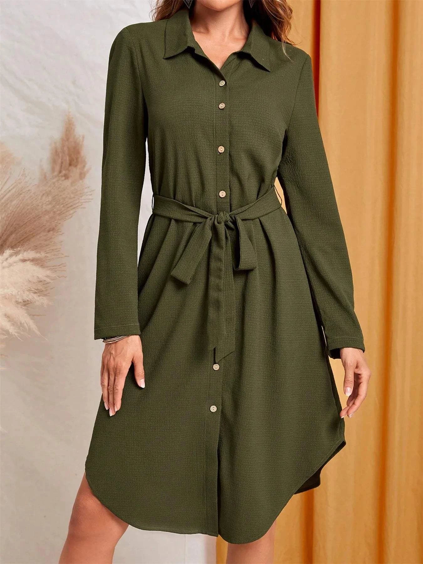 Button-Down Belted Shirt Dress