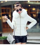 Switch Women&#39;s artificial raccoon fur collar winter jacket, stylish and cozy for 2024. 2 image