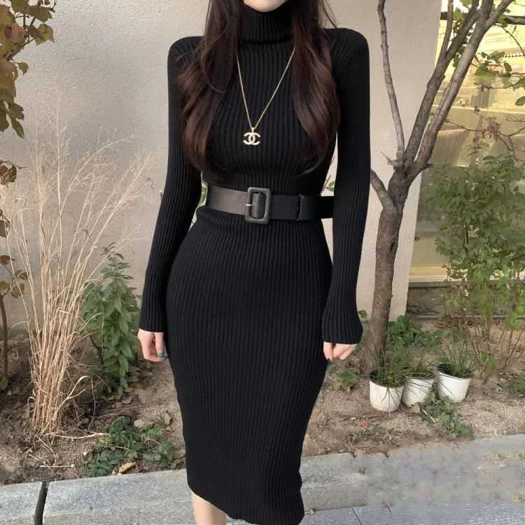 H Han Queen Turtleneck Bodycon Sweater Dress