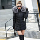 Switch Slim Women Winter Jacket - Warm Cotton Padded Coat 1 image