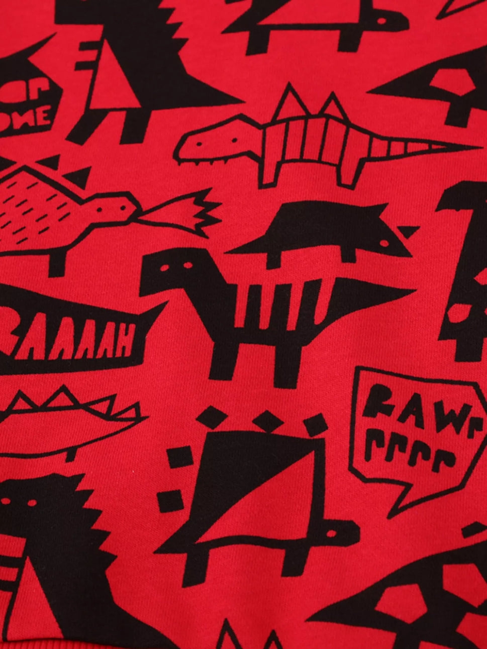 Children's Dinosaur Print Long Sleeve Sweatshirt & Pants Set