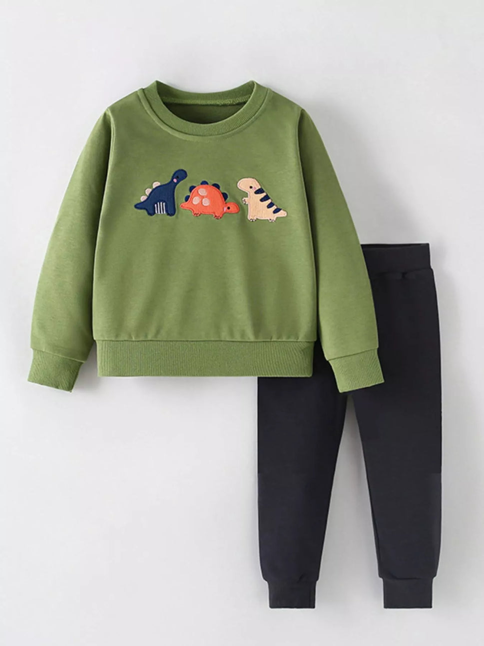Children's Dinosaur Embroidered Sweatshirt and Pants Set