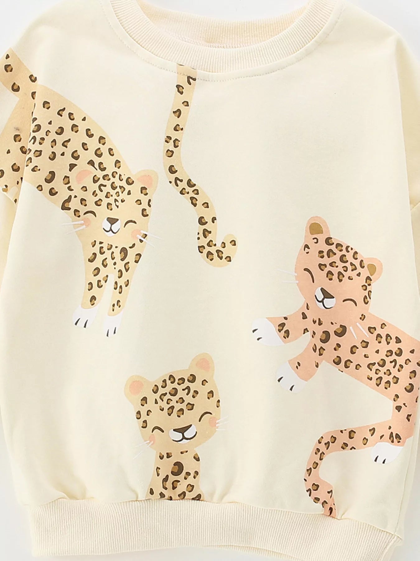 Children's Leopard Print Sweatshirt and Pants Set