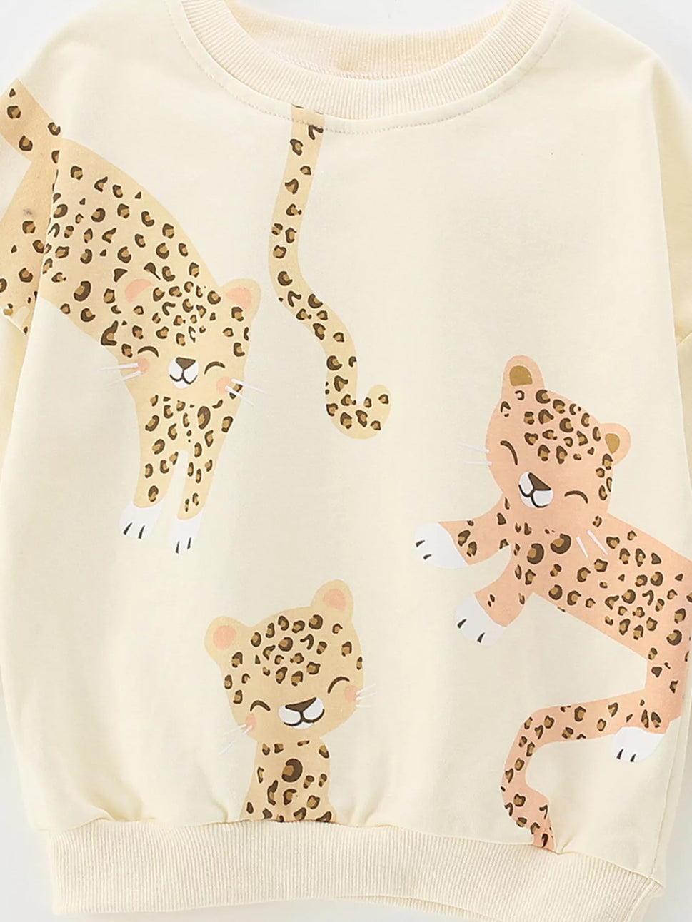 Children's Leopard Print Sweatshirt and Pants Set