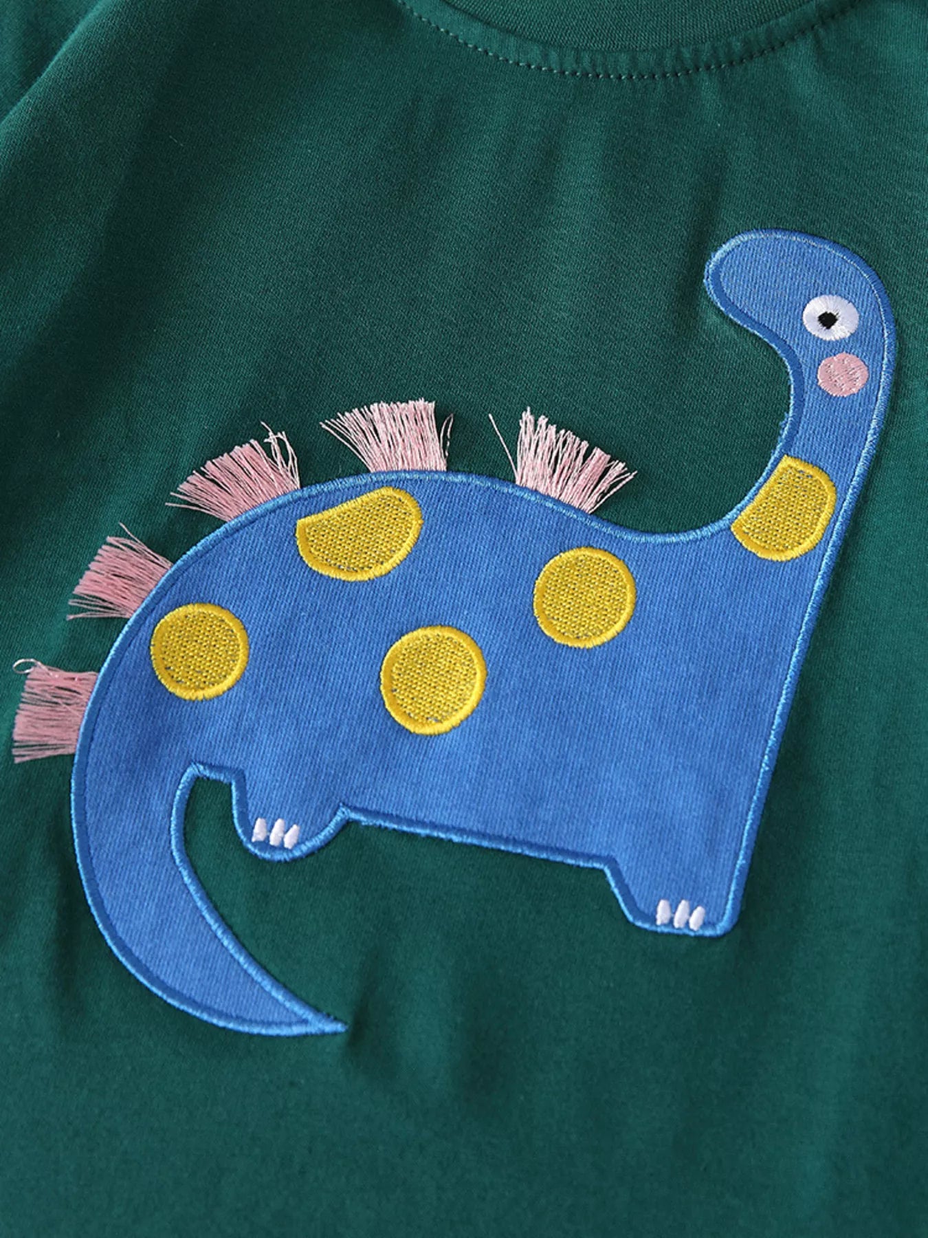 Children's Dinosaur Applique Long Sleeve Top and Pants Set