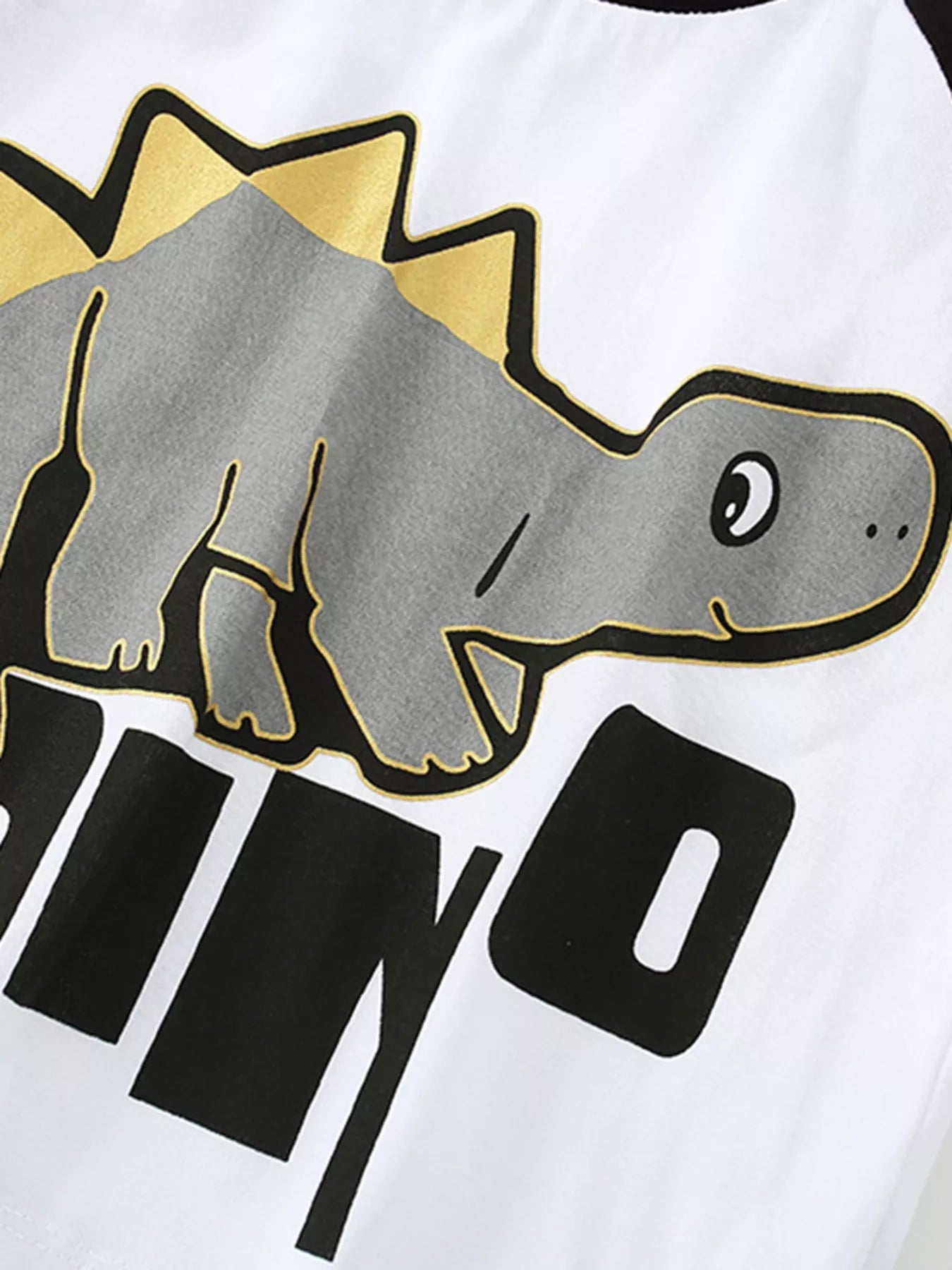 Children's Dinosaur Round Neck Top and Pants Set