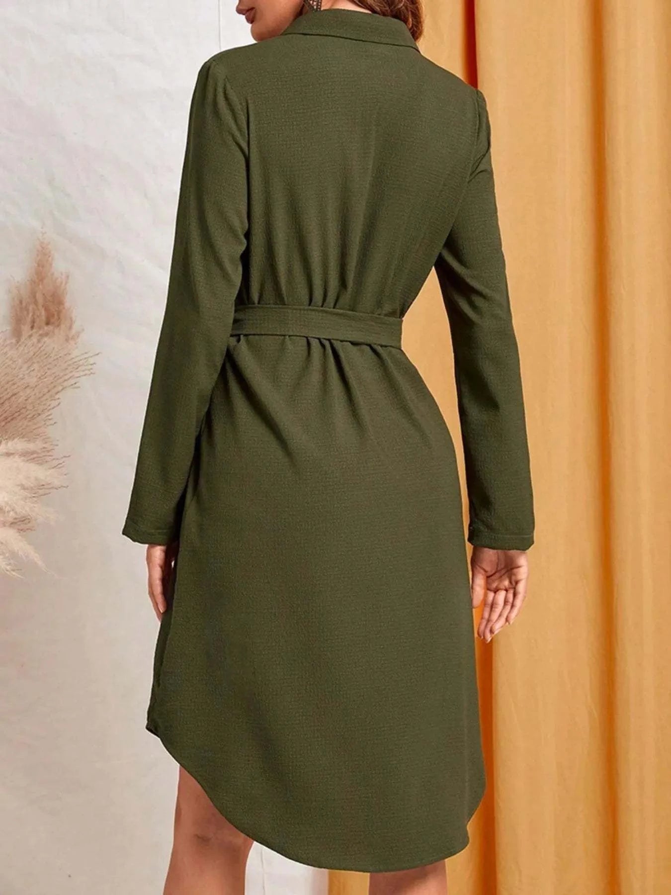 Button-Down Belted Shirt Dress